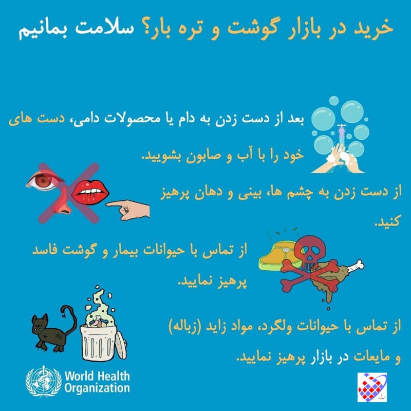 دستورالمل  8 سازمان بهداشت جهانی مقابله با ویروس کرونا